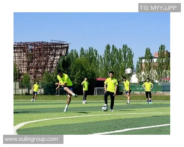 以体球为核心，探索现代体育运动中的创新发展与未来趋势