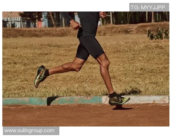 成都攀岩队个人能力表现的数据分析与提升策略探讨