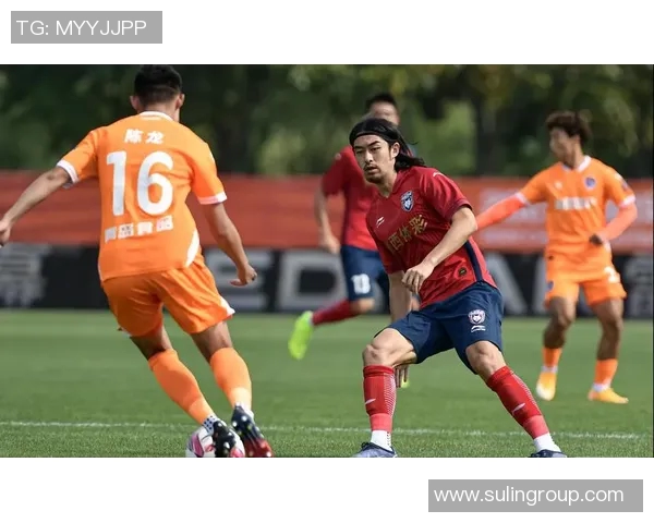 南京排球队的速度分析与战术探讨如何提升比赛表现与团队协作