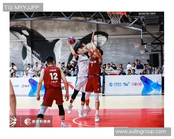 深圳篮球队实力强劲荣登全国篮球力量排行榜第七位