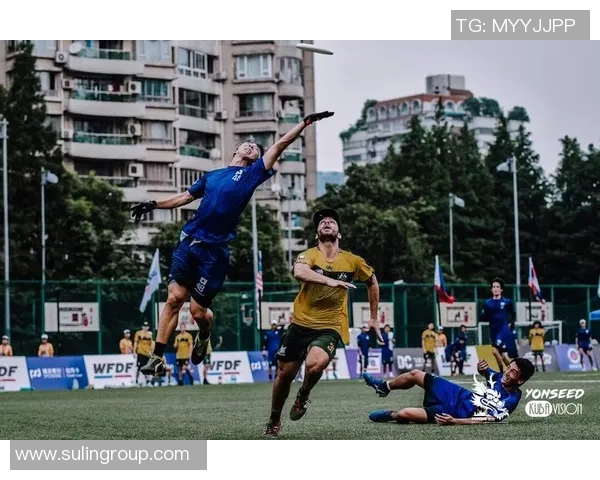 飞盘深度解析：上海飞盘队如何实现战术转换与团队协作