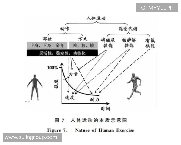 运动心理学视角下运动员心理调节与表现提升的关系研究