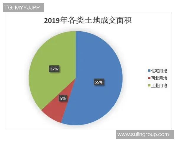 重庆极限运动队快攻策略解析与热点趋势探讨