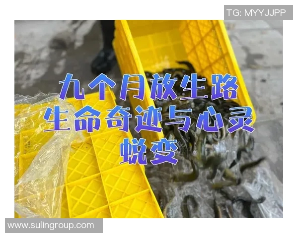陈敏专访：从街头到舞台的蜕变与坚持之路回顾